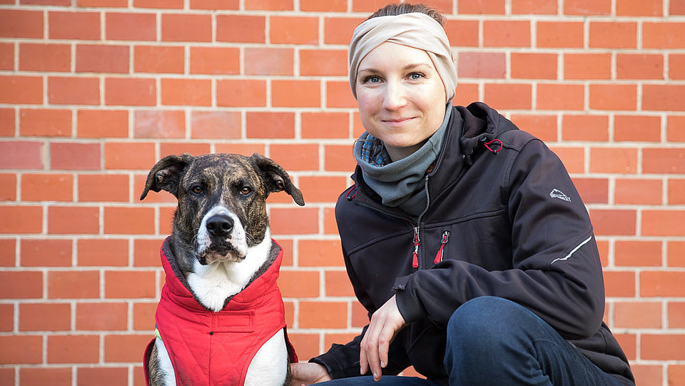 Hund mit braun-weißem Fell trägt rote Weste, sitzt neben Person in schwarzer Jacke und blauer Hose vor roter Backsteinwand