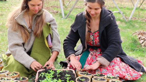 Zwei Frauen sitzen auf Gras, pflanzen Setzlinge in kleinen Töpfen, eine trägt einen grauen Pullover, die andere ein schwarzes Jackett und ein rotes Kleid mit Blumenmuster.